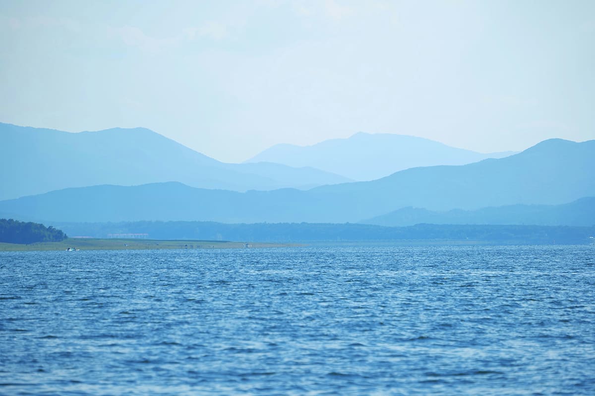 Feasibility Study for “Fishing Port Development in Georgia”